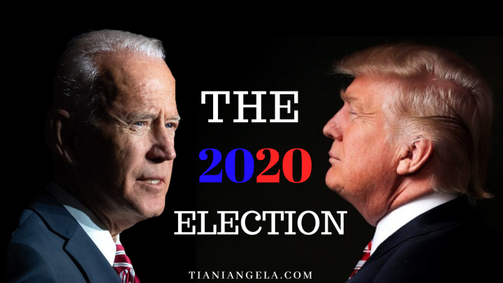 The 2020 Election